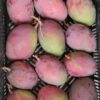 Caja Mangos de la Axarquia- 4kg aprox